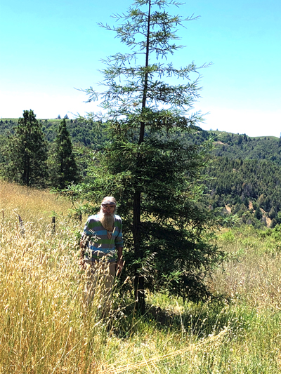 Scott with Curly Grain Redwood Tree